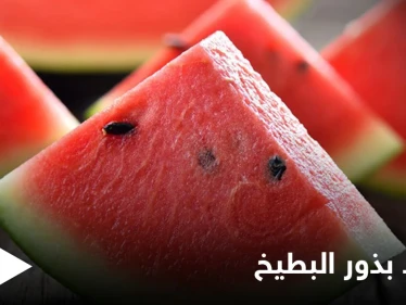 لن ترمي البذور بعد اليوم.. فوائد كثيرة لبذور البطيخ تعرف عليها