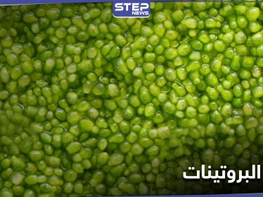 الكافيار الأخضر...نبتة الولفيا بديل ثوري عن البروتينات الحيوانية والأسرع نمواً على سطح الأرض