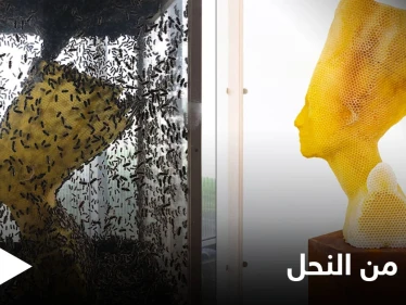 شاهد بالصور|| فنان يستخدم جيشاً من النحل لصناعة منحوتة "الخلود" التي تمثل الملكة نفرتيتي