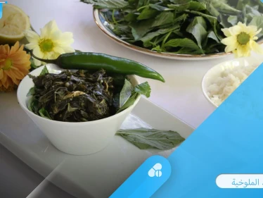 الأكلة الملوكية.. فوائد كثيرة تحتويها الملوخية تعرف عليها