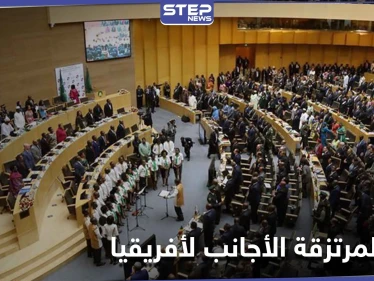 مجلس السلم والأمن الإفريقي يصدر قراراً حول "المرتزقة الأجانب" والدول الداعمة لهم في ليبيا