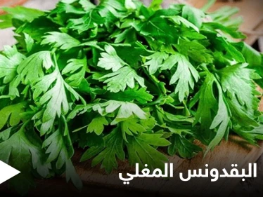 منها علاج الفقر الدم.. فوائد كثيرة لشرب البقدونس المغلي قبل النوم تعرف عليها