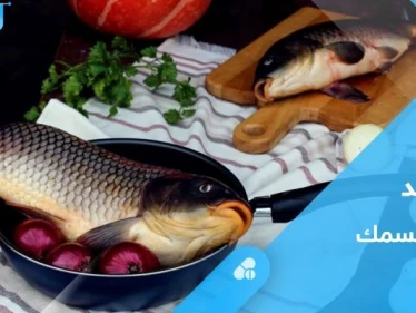 لتعزيز صحة القلب وجهاز المناعة.. تعرف على فوائد السمك