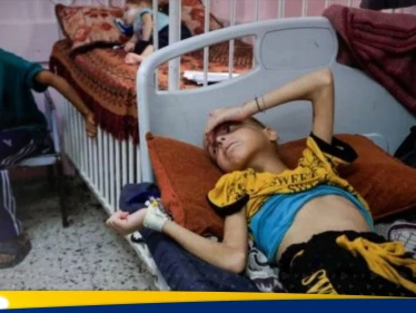 الصحة العالمية تكشف عدد الأشخاص الذين ماتوا بسبب سوء التغذية في غزة هذا العام