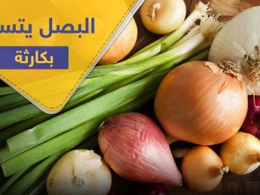 في التفاصيل.. البصل يتسبب بإصابة مئات الأمريكيين بعدوى خطيرة