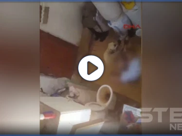 بالفيديو || اغتصاب كلب من قبل مسن تركي في أنطاليا وأطفال الحي يصورونه ويبلغون الشرطة