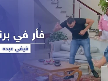 بعد أفعى رامز جلال ..فأر ببرنامج مقالب لـ فيفي عبده فما القصة
