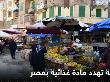 "مشكلة خطيرة" في مصر قد تؤدي لاختفاء البيض.. ومسؤول يحذر