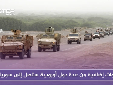 صحيفة أمريكية: قوات إضافية من عدة دول أوروبية ستصل إلى سوريا