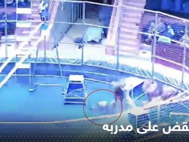 بالفيديو|| أسد ينقض على مدربه في سيرك روسي وزوجته تتحول لبطلة وتواجه الليث