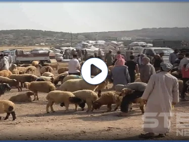وسط غلاء في أسعارها.. حالة جمود تشهدها أسوق الأضاحي شمالي إدلب