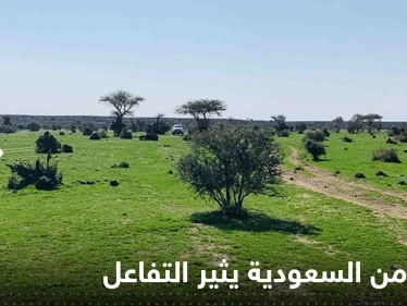 شاهد|| فيديو من السعودية يثير التفاعل ويعيد تداول حديث للنبي الكريم عن قيام الساعة