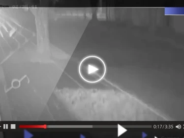 بالفيديو|| لأوّل مرّة منذ 9 سنوات.. زلزال يهز دولة أفريقية بشدة