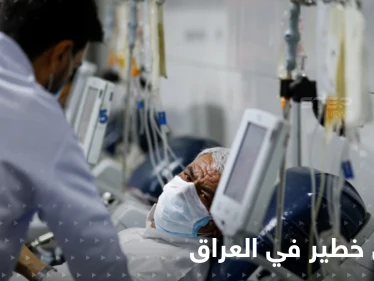 محافظة عراقية تدق ناقوس الخطر ... مرض خطير ينتقل من الحيوان للإنسان ودعوات للتصدي له