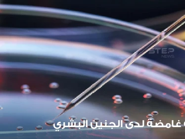 دراسة قد "تغير التاريخ".. علماء يكتشفون مرحلة "غامضة" لدى الجنين البشري ويوضحون التفاصيل