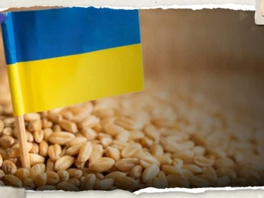 أوكرانيا تقترح على تركيا استمرار صفقة الحبوب بدون روسيا وموسكو ترد