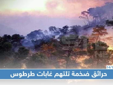 شاهد: قتلى وجرحى في حرائق ضخمة تلتهم غابات طرطوس وسط عجز إطفائيات النظام عن إخماده