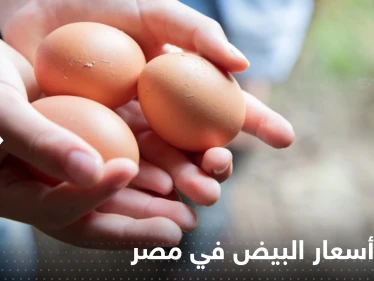 تحذير من أسعار غير متوقعة للبيض في مصر خلال أيام.. والكشف عن أسباب أزمة البن