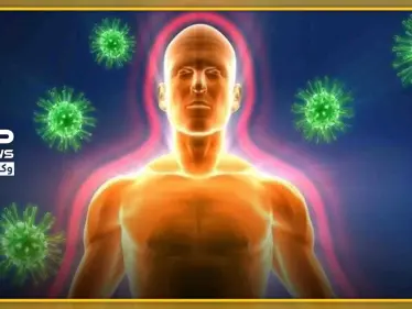 غير الثوم والزنجبيل.. إليك المواد الغذائية التي تعتبر قاهرة الفيروسات - وكالة ستيب نيوز