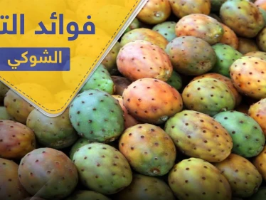 التين الشوكي وزيته.. فوائد غذائية وعلاجية عدة
