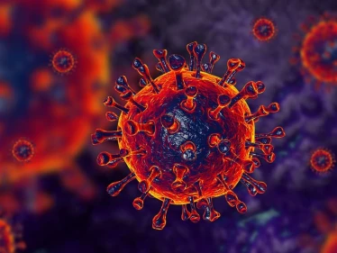 منظمة الصحة العالمية تراقب سلالة جديدة من متحور دلتا تضم 3 متحورات
