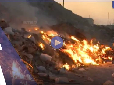 بالفيديو|| بظاهرة غير مألوفة.. الأفاعي والعقارب تهاجم أحد الأحياء بالسعودية وتتسب بحالة هلع بين الأهالي
