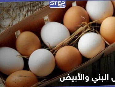 هل تساءلت يوماً عن الفرق بين البيض البني والأبيض.. إليك الإجابة
