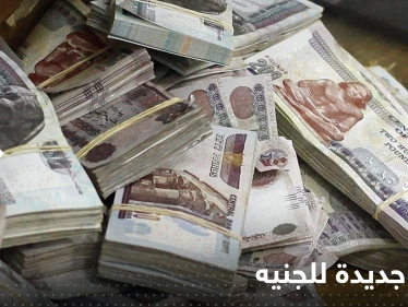 خسائر جديدة للجنيه.. ودولة عربية تكشف مخاوفها حول خطر اقتصادي كبير في مصر