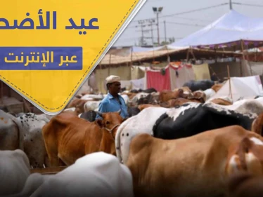دولة مسلمة تحث مواطنيها على ذبح الأضاحي عبر الإنترنت هذا العيد.. وتبرر موقفها