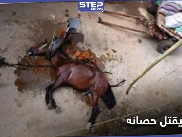 شاهد || مصري يقتل حصانه بـ"مطرقة" في القاهرة
