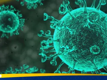 الصين تعلن تفشي فيروس 