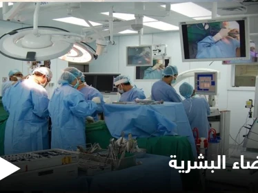 أطباء إسرائيليون يطورون عضواً هجيناً من "الإنسان والخنزير" لحل مشكلة نقص الأعضاء البشرية