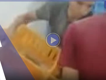 بالفيديو|| قتل مئات الكتاكيت خنقاً يثير ضجة في مصر وتعليق وزارة الزراعة