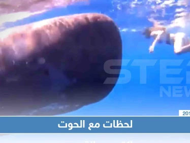 فتاة تسبح أمام الحوت في المحيط الهندي واصفة اللحظة أنها "لاتقدر بثمن"