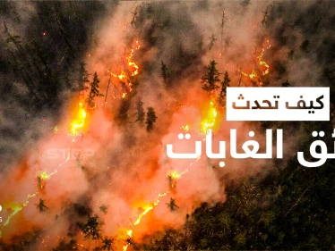 كيف تحدث حرائق الغابات ... تعرّف على عوامل انتشارها