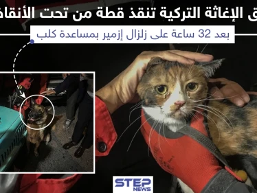 عقب 32 ساعة إنقاذ قطة من تحت أنقاض زلزال أزمير