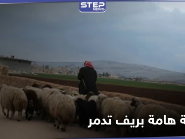 قوات النظام السوري تقتل راعيي أغنام بـ ريف تدمر بعد اكتشافهما صفقة هامة.. ومصدر عسكري يكشف التفاصيل