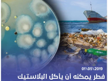 فطر يمكنه أن يأكل البلاستيك اكتشفه علماء في باكستان