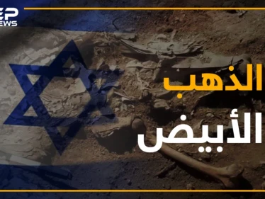 من العام 1982.. ما هو الكنز الذي يبحث عنه النظام في باطن الأرض؟
