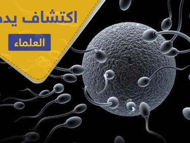 "بويضة المرأة هي التي تختار الحيوان المنوي".. اكتشاف يدهش العلماء