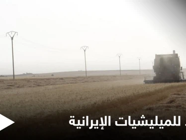 إما القبول أو المصادرة.. ميليشيات إيرانية تفرض على فلاحي دير الزور مقاسمة أرباح محاصيلهم
