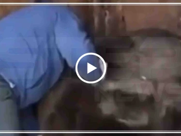مصارع روسي يتدرب في سجنه مع الدببة (فيديو)