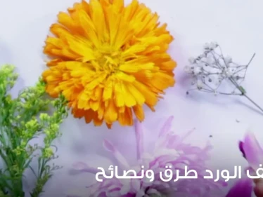 تجفيف الورد طرق ونصائح وبعض الفوائد