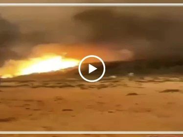 بالفيديو|| حرائق الغابات تحاصر الاستراليين على الشواطئ.. والموجة هي الأسوأ بتاريخ البلاد
