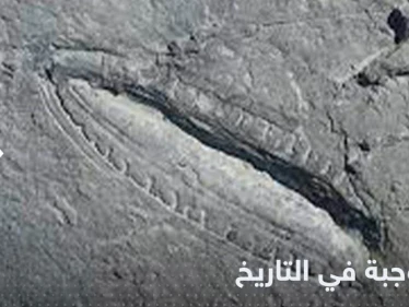 "أقدم وجبة في التاريخ".. علماء يتوصلون لاكتشاف مدهش