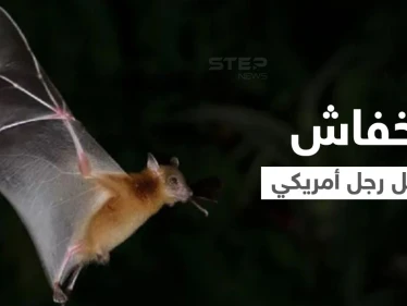 بعد اكتشاف مستعمرة خفافيش في منزله.. رجل أمريكي يقتله داء السعار