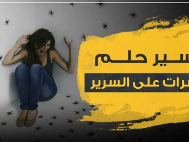 تفسير حلم الحشرات على السرير..3 تفاسير لمختلف العلماء ولجميع الأجناس والأعمار