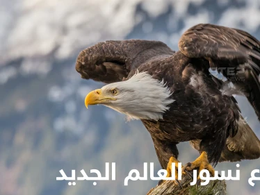 شاهد|| 7 أنواع مدهشة من نسور العالم الجديد بعضها مهدد بالانقراض
