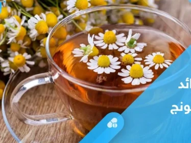 لتعزيز المناعة وعلاج الأرق.. تعرف على فوائد البابونج الصحية