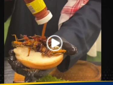 برغر الجراد في السعودية.. وجبة "غريبة" تُثير الجدل على مواقع التواصل الاجتماعي (فيديو)